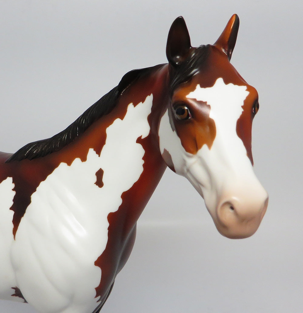 BUCKCHERRY~OOAK DAPPLE BAY PINTO ISH MODEL HORSE 10/17/17