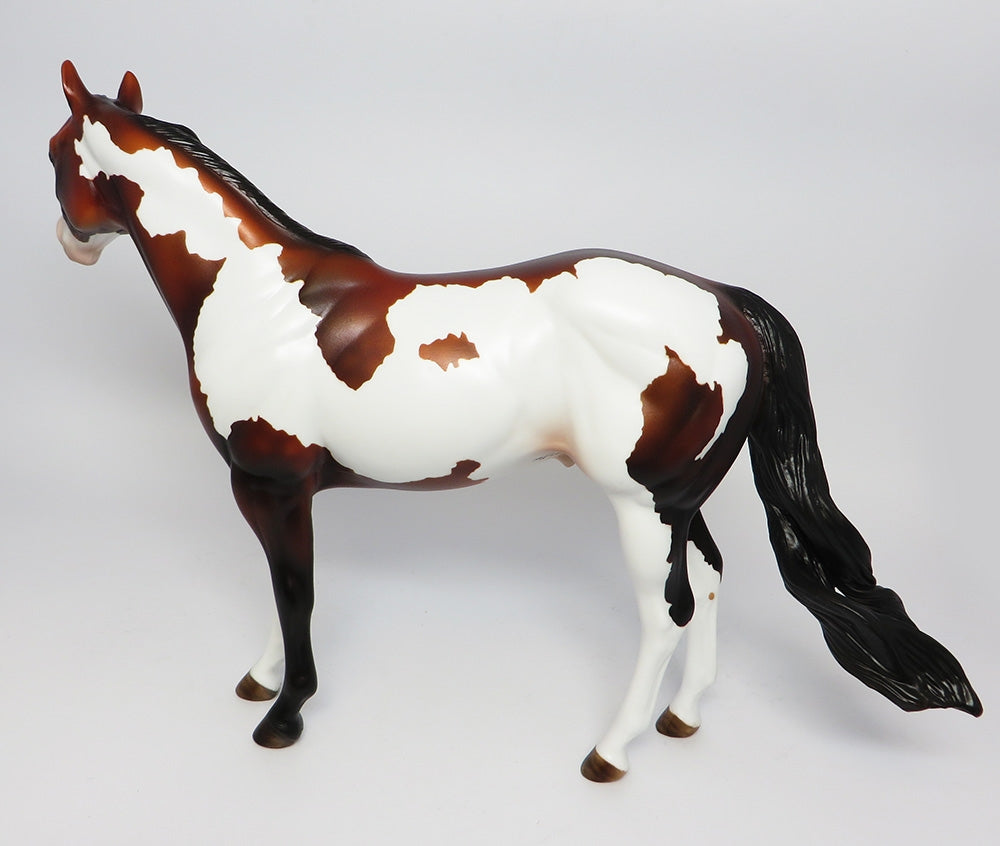 BUCKCHERRY~OOAK DAPPLE BAY PINTO ISH MODEL HORSE 10/17/17