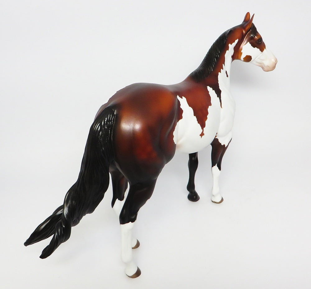 BUCKCHERRY~OOAK DAPPLE BAY PINTO ISH MODEL HORSE 10/17/17