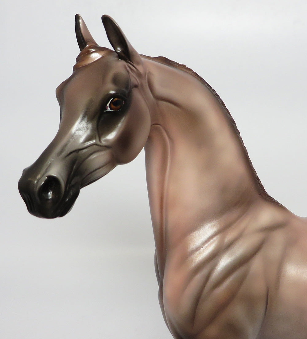 NASHVILLE~OOAK DAPPLE ROSE GREY ARABIAN MODEL HORSE 10/18/17