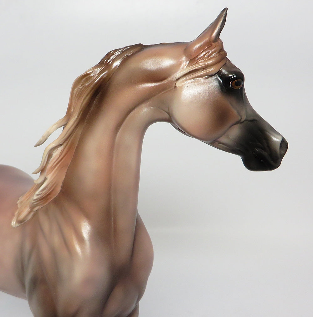NASHVILLE~OOAK DAPPLE ROSE GREY ARABIAN MODEL HORSE 10/18/17