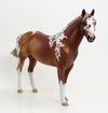 FOOLISH QUESTION - OOAK Light Chestnut Tobiano Stock Horse - 8/28