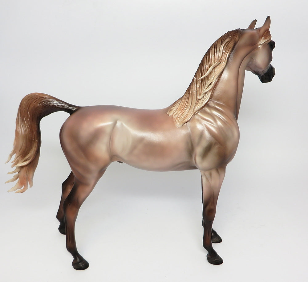 NASHVILLE~OOAK DAPPLE ROSE GREY ARABIAN MODEL HORSE 10/18/17