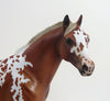 FOOLISH QUESTION - OOAK Light Chestnut Tobiano Stock Horse - 8/28