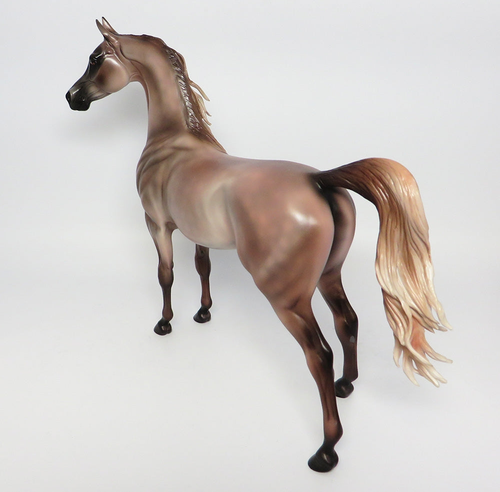 NASHVILLE~OOAK DAPPLE ROSE GREY ARABIAN MODEL HORSE 10/18/17