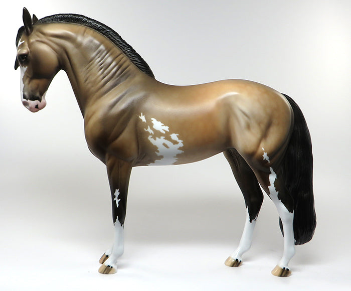 manuel buckskin andalusian