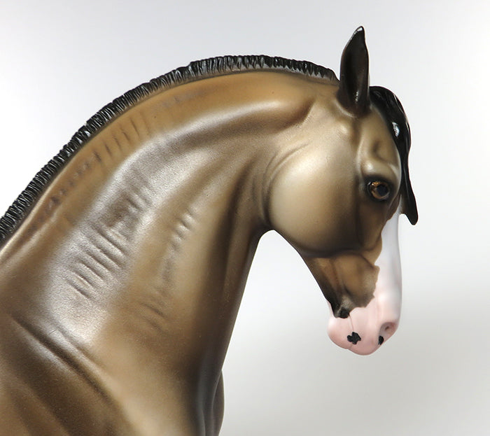 peter stone buckskin andalusian