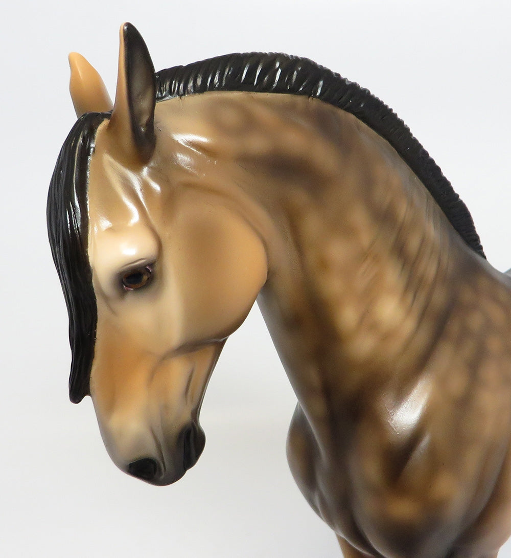 MATIAS-OOAK SOOTY DAPPLE BUCKSKIN  ANDALUSIAN MODEL HORSE 10/17/17