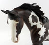 Tobiano