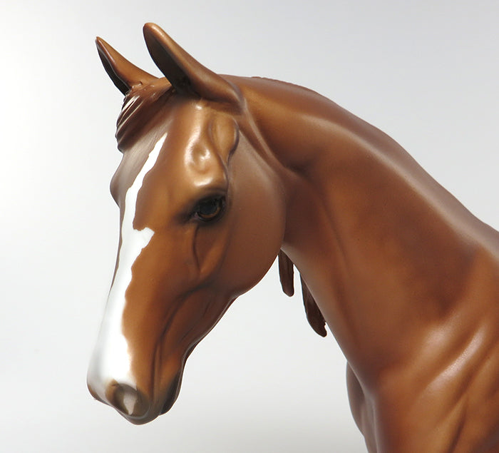 peter stone pony sushi