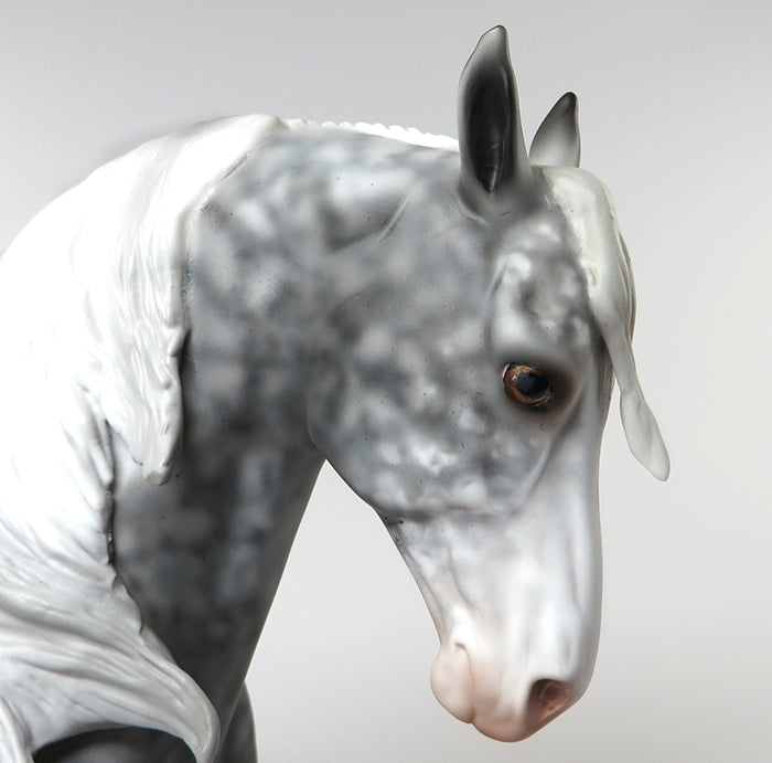 star dapple grey one a kind model 