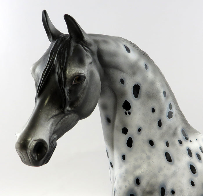 5 O&#39;CLOCK SOMEWHERE-OOAK APPALOOSA ARABIAN MODEL HORSE 11/11/16