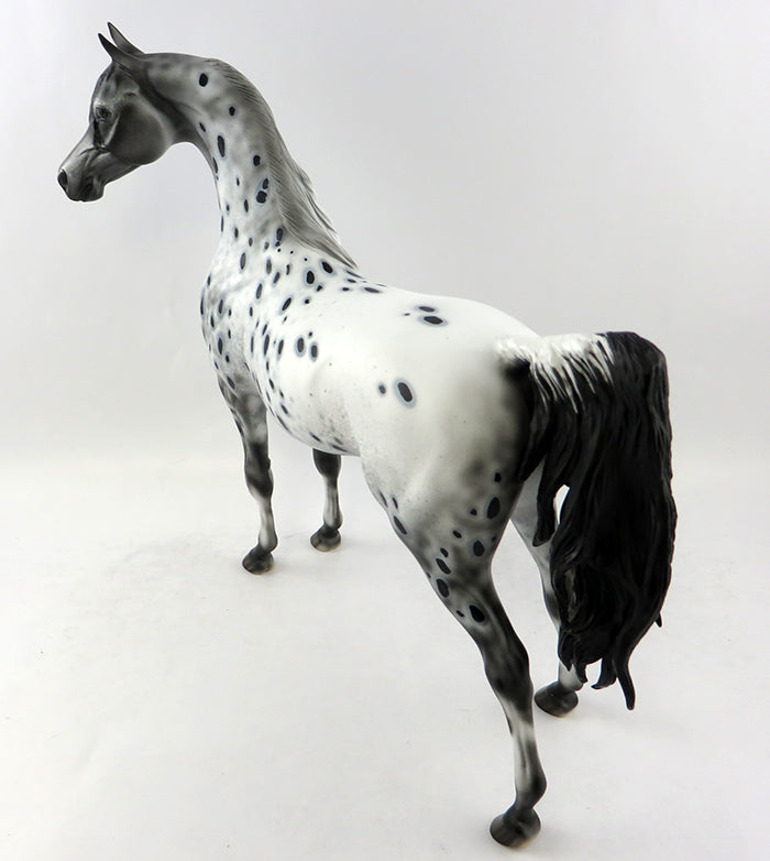 appaloosa