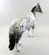 Stock Horse