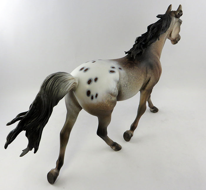 Appaloosa