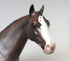 red roan paint ish red dawn