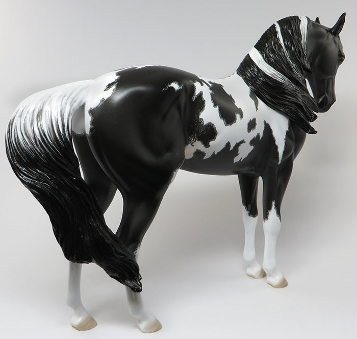 peter stone andalusian