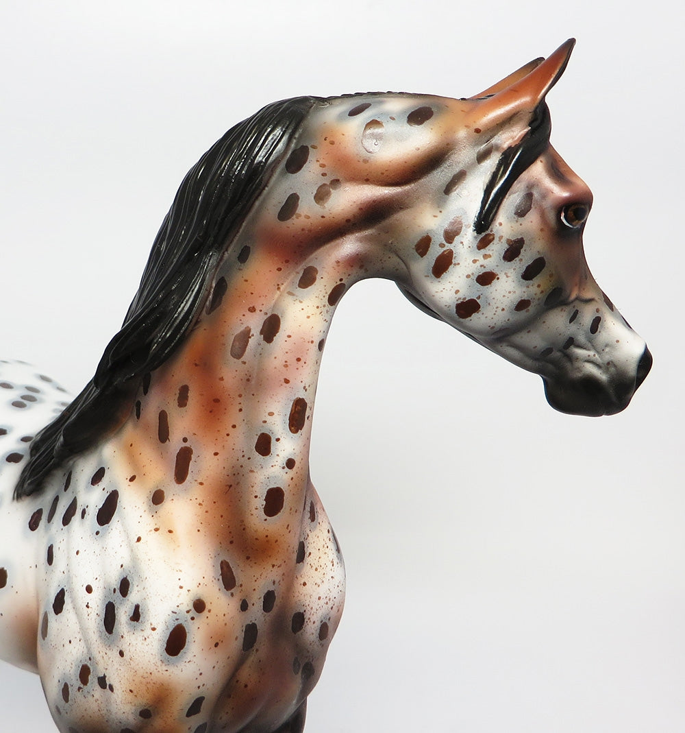 GIORGIO~OOAK LOUD BAY ROAN APPALOOSA ARABIAN MODEL HORSE 10/18/17