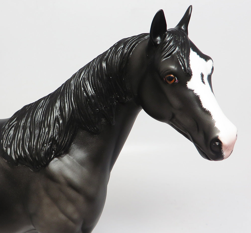 THE RAVEN~OOAK DARK DAPPLE ISH MODEL HORSE 4/12