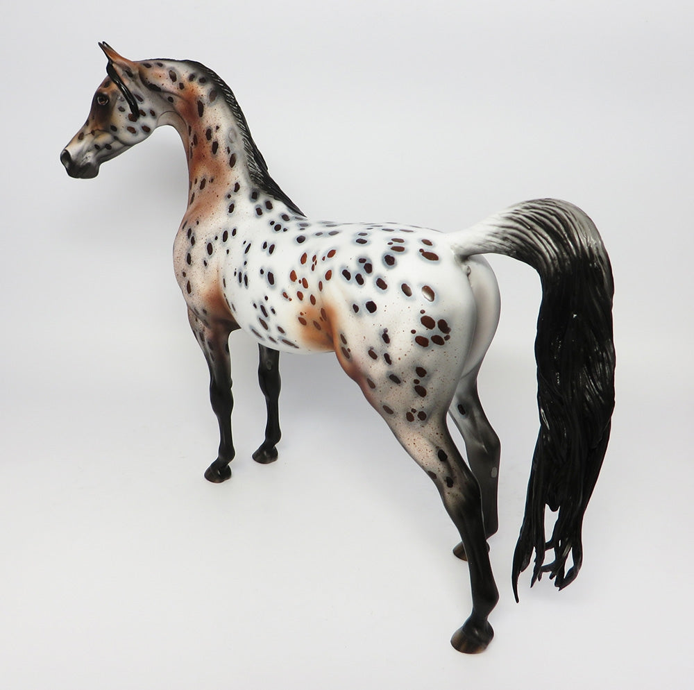 GIORGIO~OOAK LOUD BAY ROAN APPALOOSA ARABIAN MODEL HORSE 10/18/17