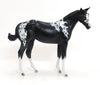 Camilla&#39;s Secret- OOAK Black Paint Weanling 8/28