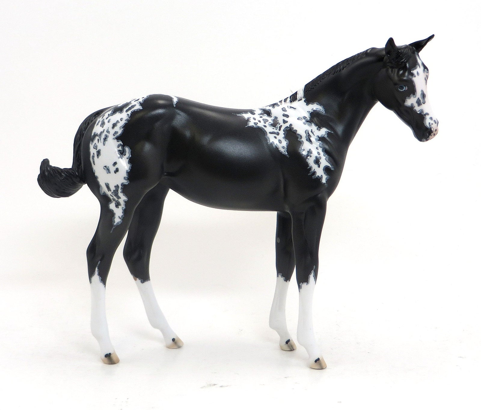 Camilla's Secret- OOAK Black Paint Weanling 8/28