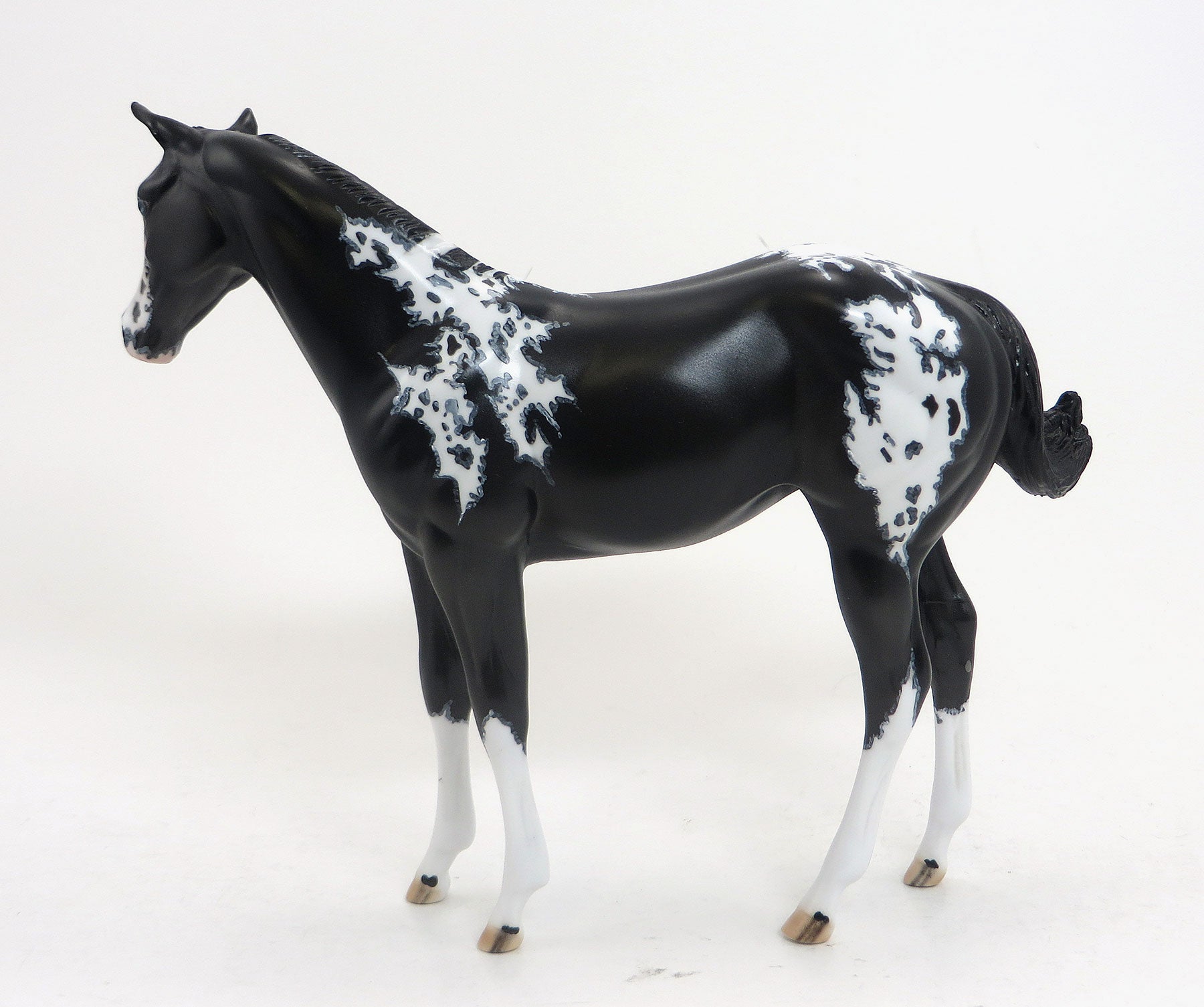 Camilla&#39;s Secret- OOAK Black Paint Weanling 8/28