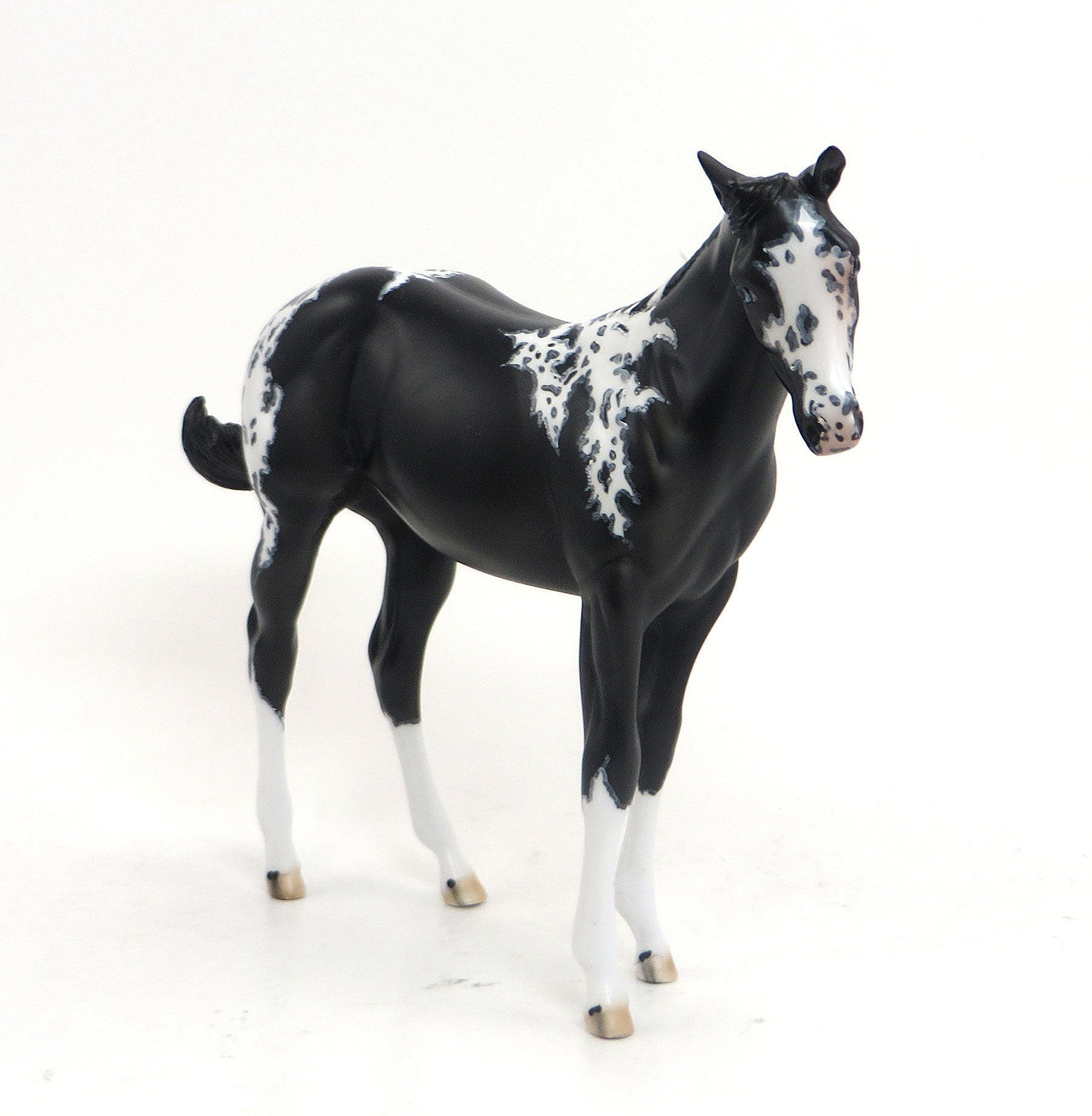 Camilla&#39;s Secret- OOAK Black Paint Weanling 8/28
