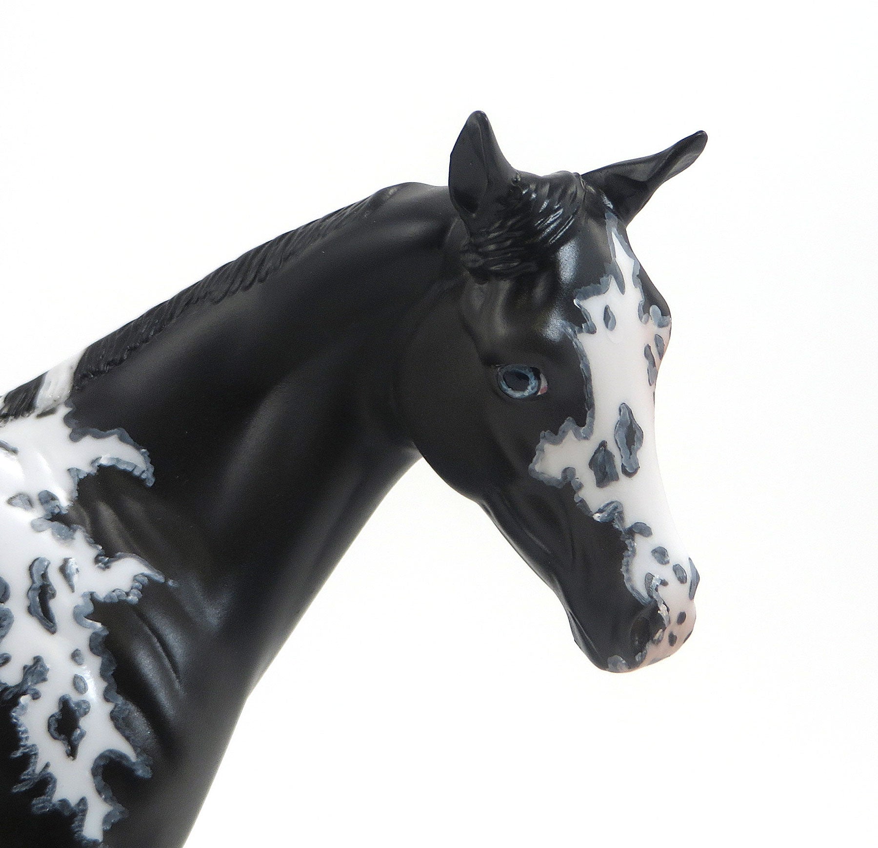 Camilla&#39;s Secret- OOAK Black Paint Weanling 8/28