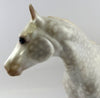 dapple white