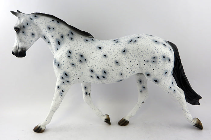 appaloosa