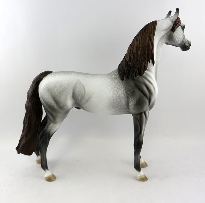 CASTAWAY-OOAK GREY ARABIAN MODEL HORSE BY ALLEN KATT 11/14/16