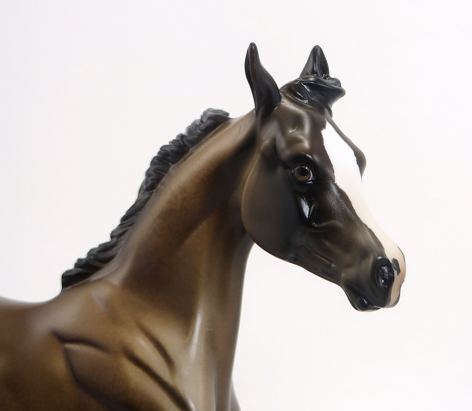 CHER AM I- OOAK Sooty Buckskin Yearling 8/28