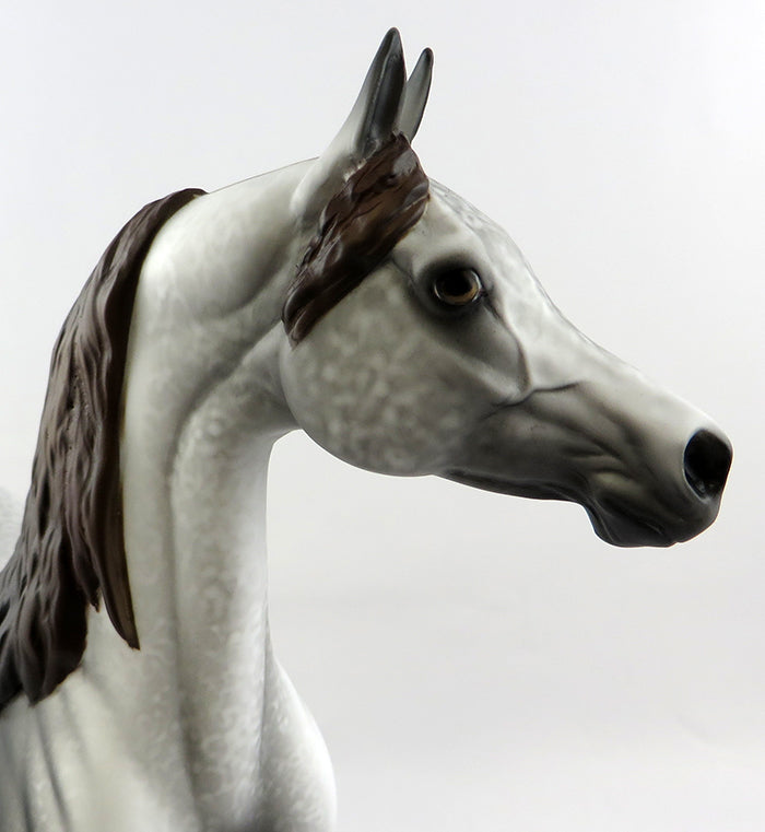 CASTAWAY-OOAK GREY ARABIAN MODEL HORSE BY ALLEN KATT 11/14/16