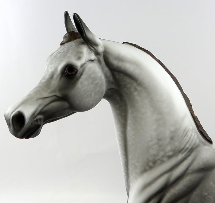 CASTAWAY-OOAK GREY ARABIAN MODEL HORSE BY ALLEN KATT 11/14/16