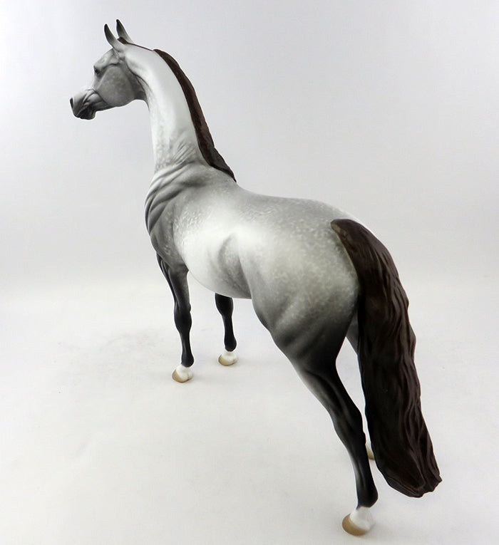 CASTAWAY-OOAK GREY ARABIAN MODEL HORSE BY ALLEN KATT 11/14/16