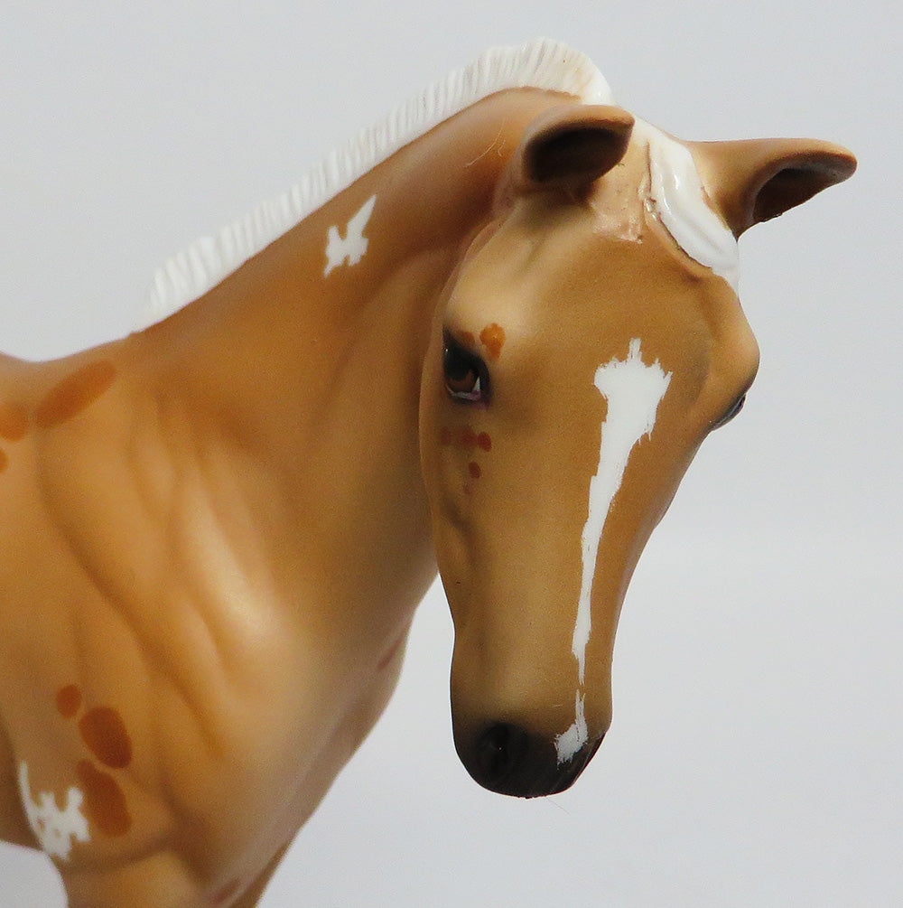 palomino