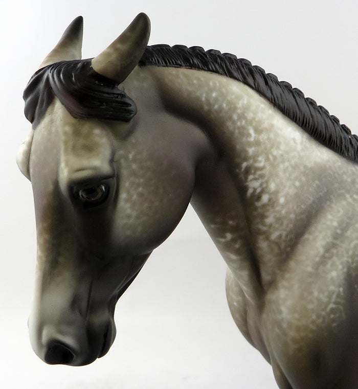 SHIFTING GEARS-OOAK GREY PALOUSE MODEL HORSE BY ALLEN KATT 11/14/2016