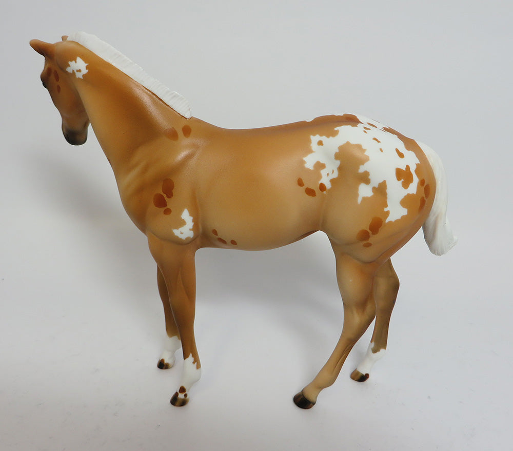 appaloosa