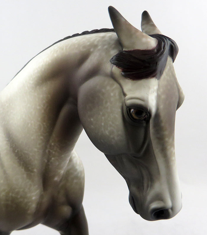 SHIFTING GEARS-OOAK GREY PALOUSE MODEL HORSE BY ALLEN KATT 11/14/2016