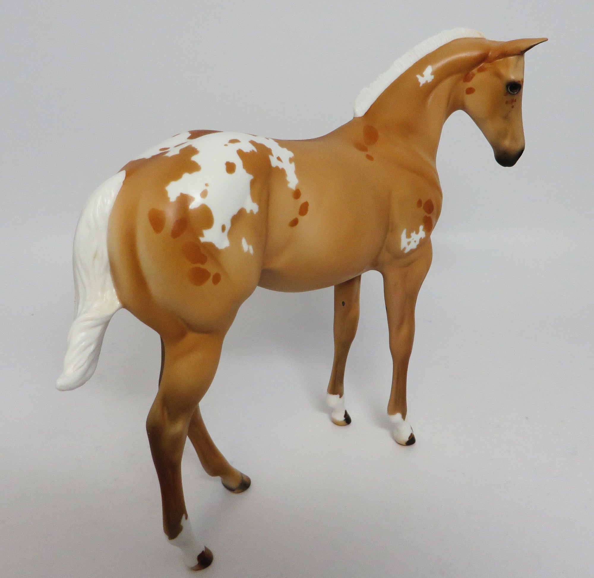 ROLD GOLD~OOAK GOLDEN PALOMINO APPALOOSA WEANLING BY JULIE KEIM 4/13