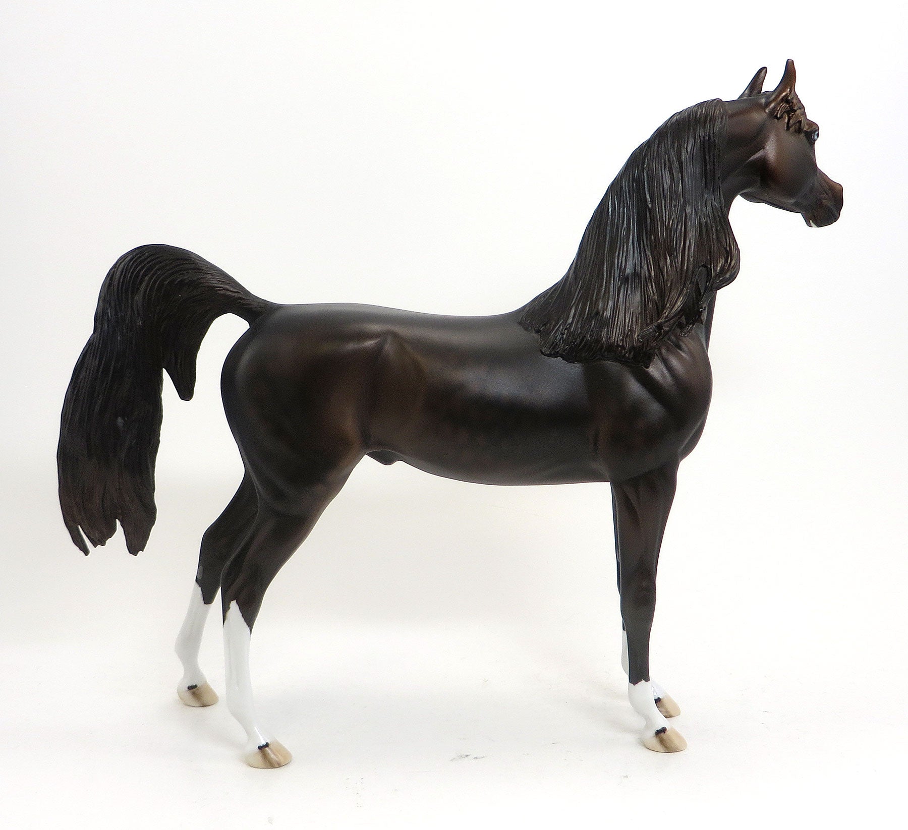 EMIR- OOAK Dark Dapple Brown Arabian Mare 8/28