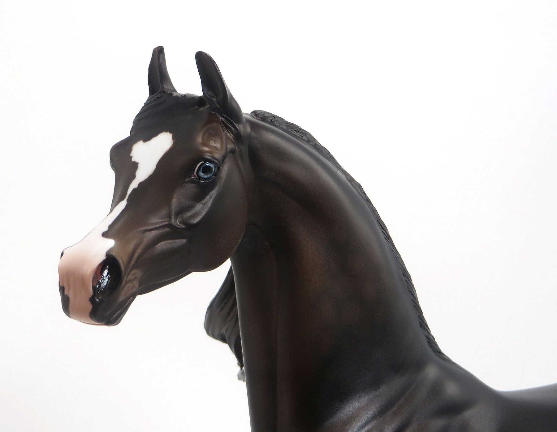 EMIR- OOAK Dark Dapple Brown Arabian Mare 8/28