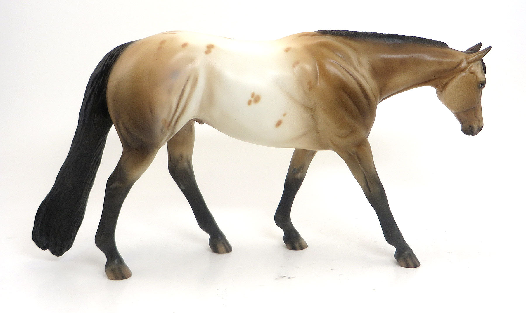 LOST HORIZON - OOAK Buckskin Appaloosa Western Pleasure Model Horse - 8/28