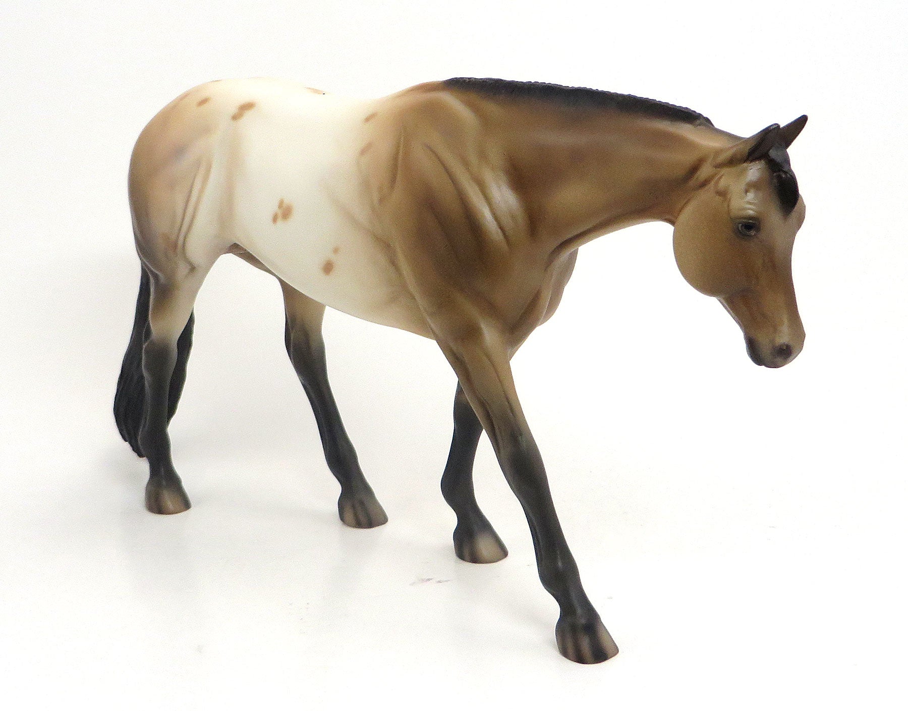LOST HORIZON - OOAK Buckskin Appaloosa Western Pleasure Model Horse - 8/28