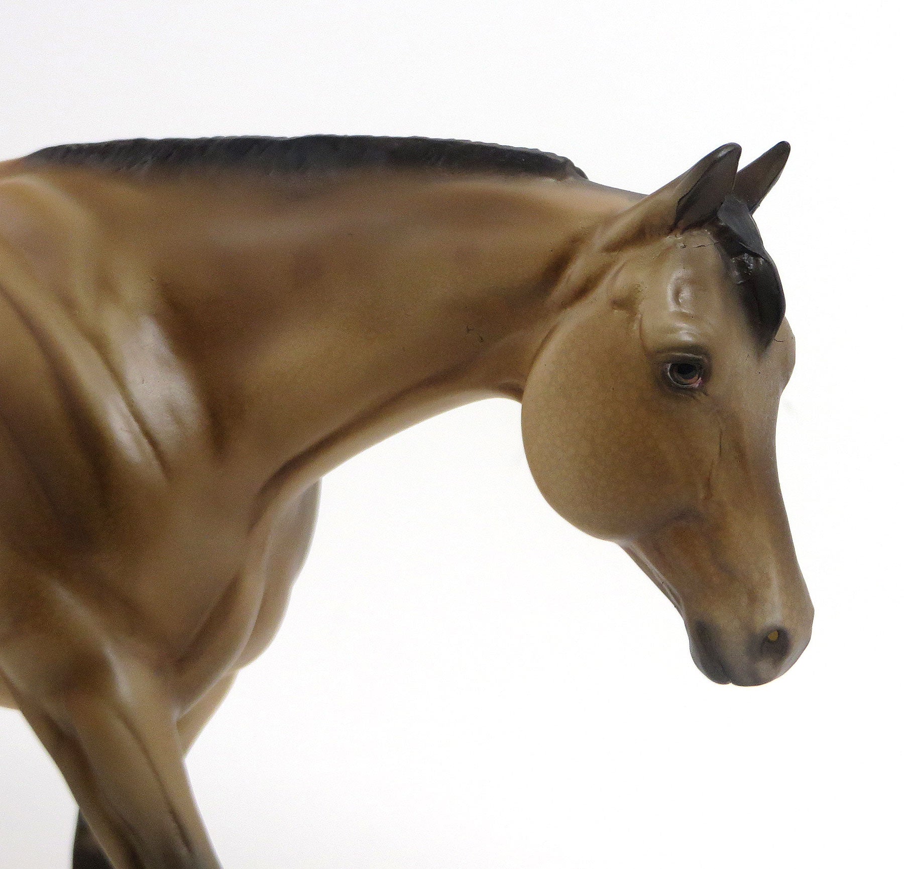 LOST HORIZON - OOAK Buckskin Appaloosa Western Pleasure Model Horse - 8/28