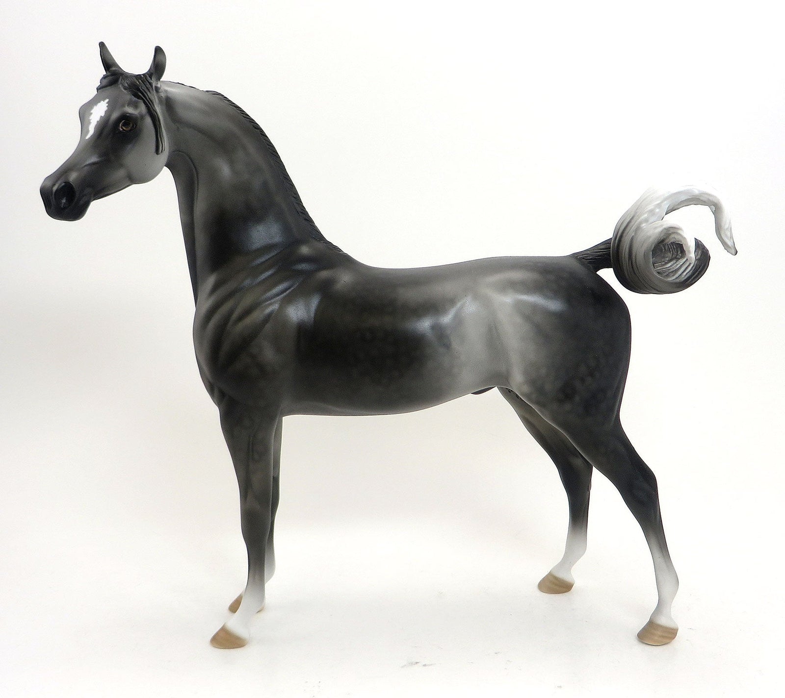 SPEAKING BLUNTLY- OOAK Dapple Grey Arabian 8/28