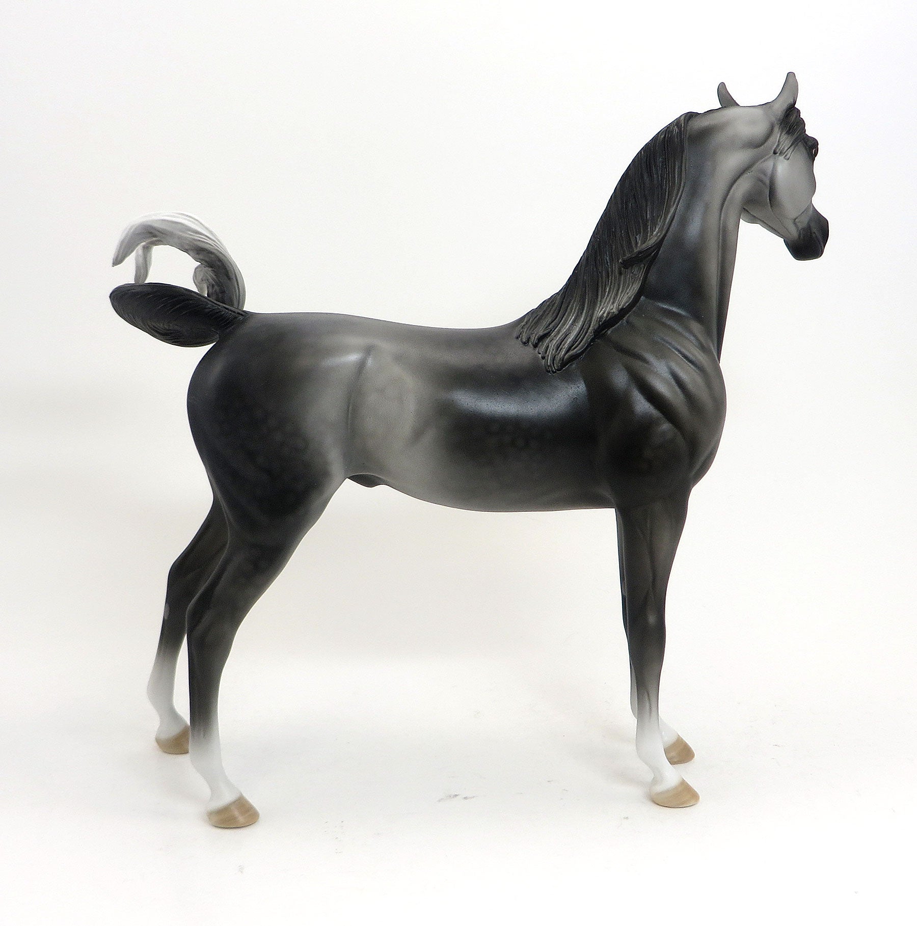 SPEAKING BLUNTLY- OOAK Dapple Grey Arabian 8/28