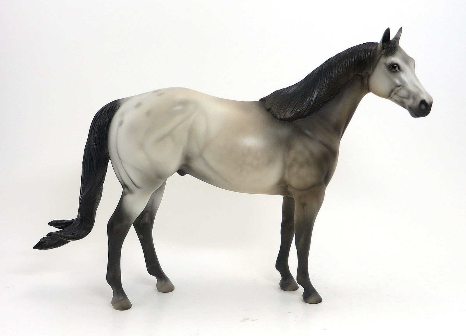 MR. BADLANDS- OOAK Dapple Gray Appaloosa Stock Horse 8/28