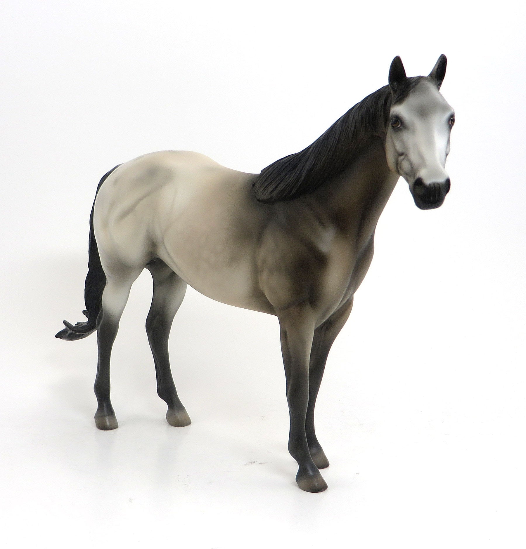 MR. BADLANDS- OOAK Dapple Gray Appaloosa Stock Horse 8/28